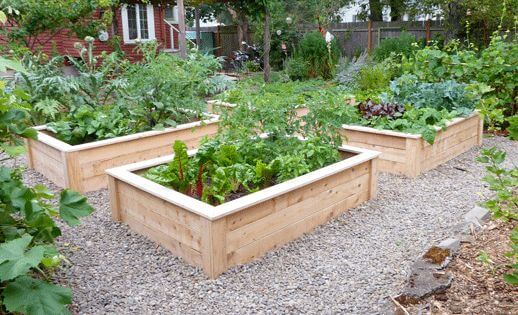 Comment protéger le potager des nuisibles ? jardin potager ... Potager clôture désign