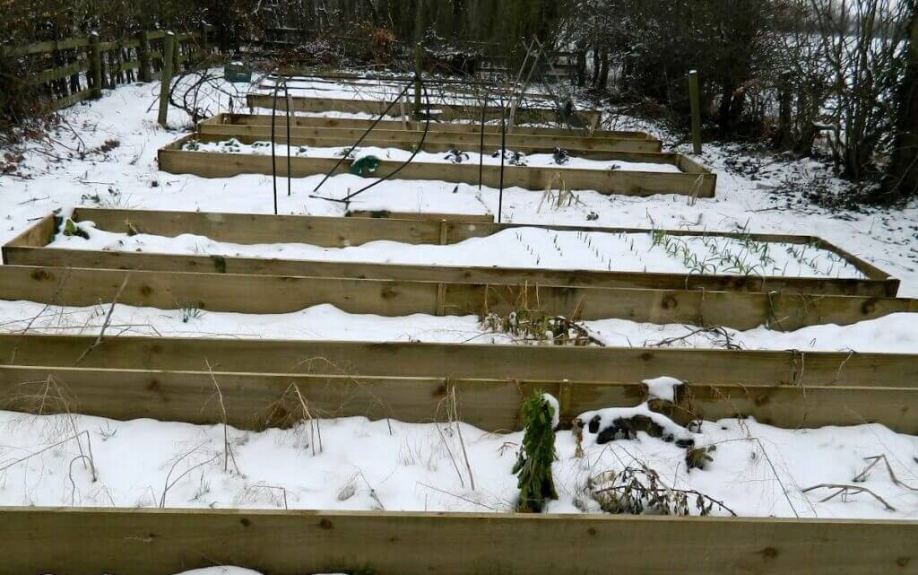 décembre au potager