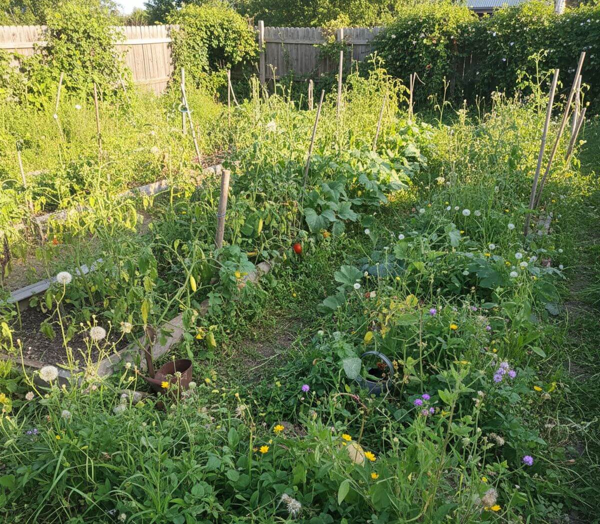 Recette de grand-mère pour tuer les mauvaises herbes sans produits chimiques